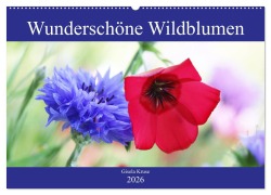 Wunderschöne Wildblumen (Wandkalender 2026 DIN A2 quer), CALVENDO Monatskalender - Gisela Kruse