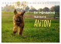 Ein Hundekind namens Anton (Tischkalender 2024 DIN A5 quer), CALVENDO Monatskalender - Christiane Calmbacher