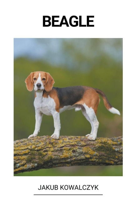 Beagle - Jakub Kowalczyk