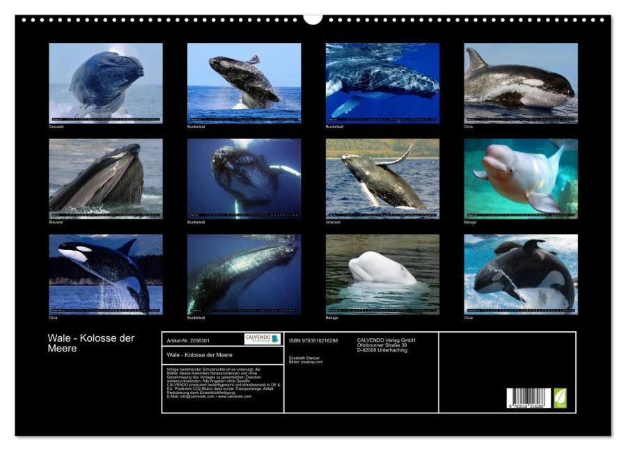 InsideView 5