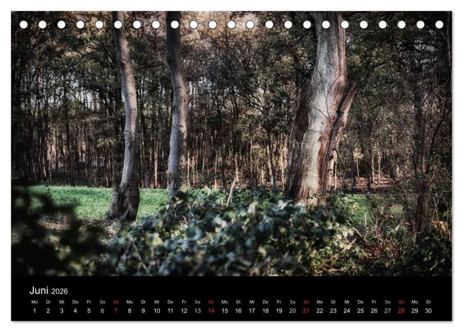 InsideView 11