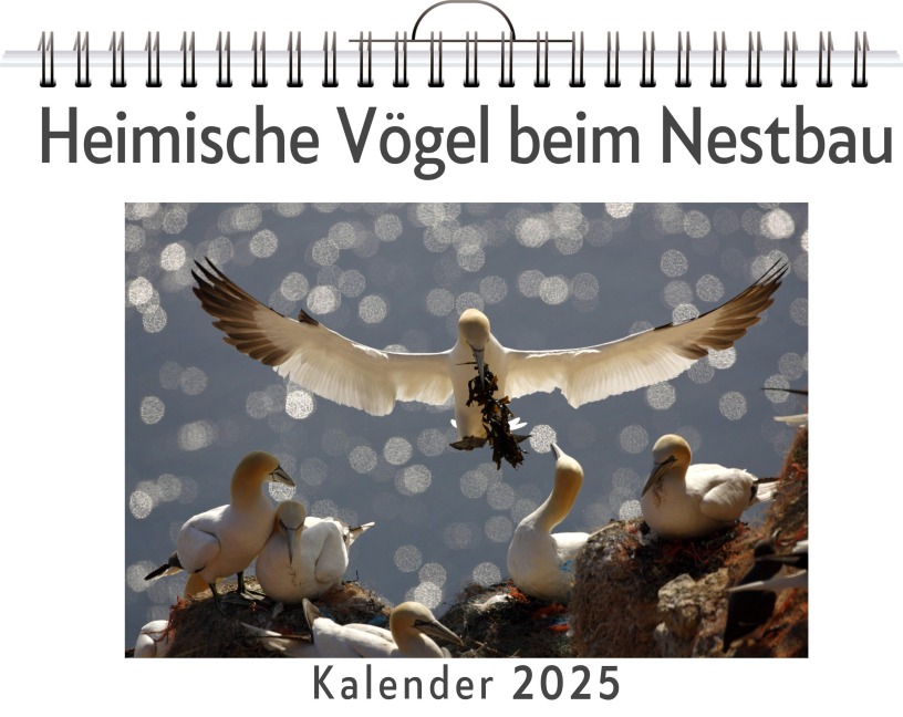Heimische Vögel beim Nestbau - Emma Werner