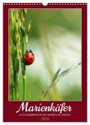Cover-Bild zum Titel 'Marienkäfer, Glücksbringer mit sieben Punkten (Wandkalender 2026 DIN A3 hoch), CALVENDO Monatskalender' von 'Sabine Löwer'
