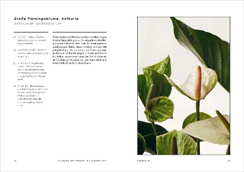 InsideView 1