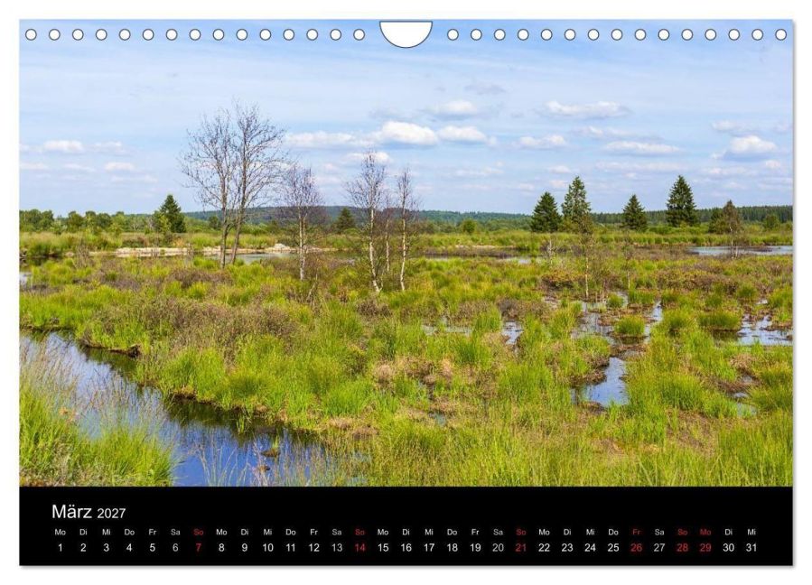 InsideView 8