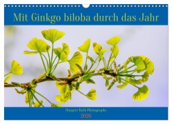 Cover-Bild zum Titel 'Mit Ginkgo biloba durch das Jahr (Wandkalender 2026 DIN A3 quer), CALVENDO Monatskalender' von 'Margret Rath Photography'