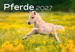 Cover-Bild zum Titel 'Pferde Kalender 2027 Wandkalender' von 'Edyta Trojaska-Koch'