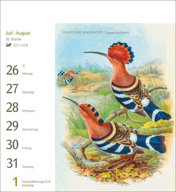 InsideView 11
