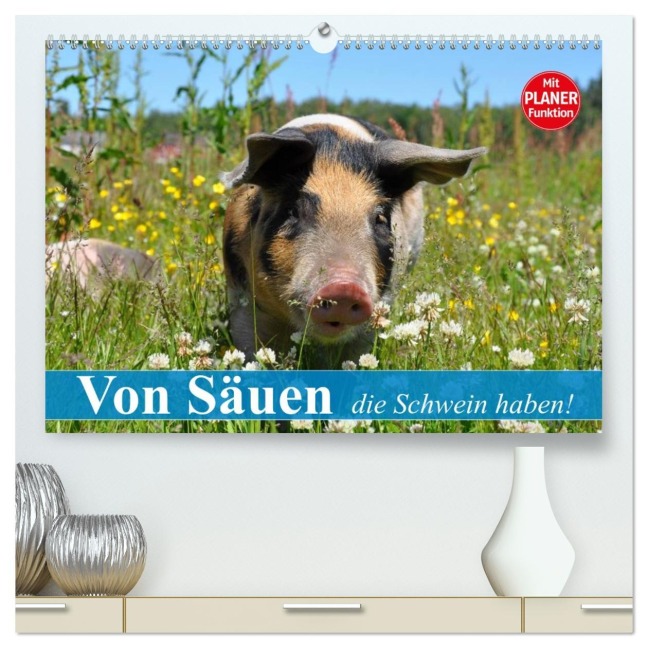 Von Säuen die Schwein haben! (hochwertiger Premium Wandkalender 2026 DIN A2 quer), Kunstdruck in Hochglanz - Elisabeth Stanzer