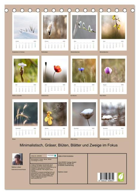 InsideView 5