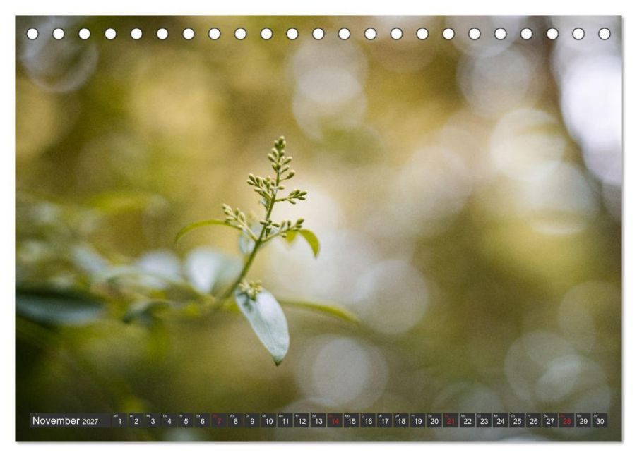 InsideView 3
