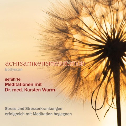 Achtsamkeitsmeditation - Bodyscan - Karsten Wurm, Karsten Wurm