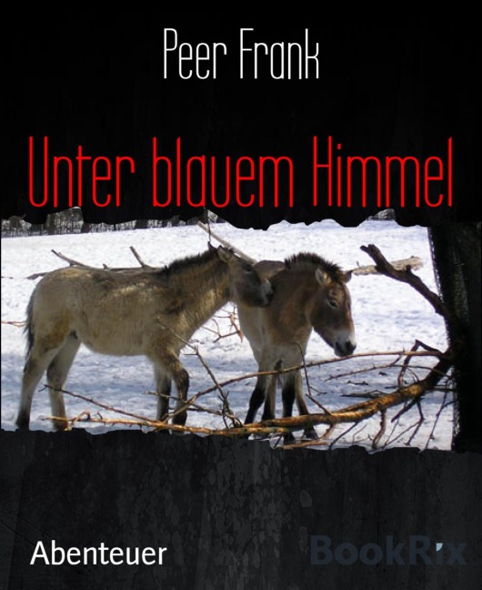 Unter blauem Himmel - Peer Frank