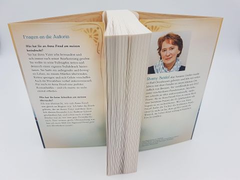 InsideView 6