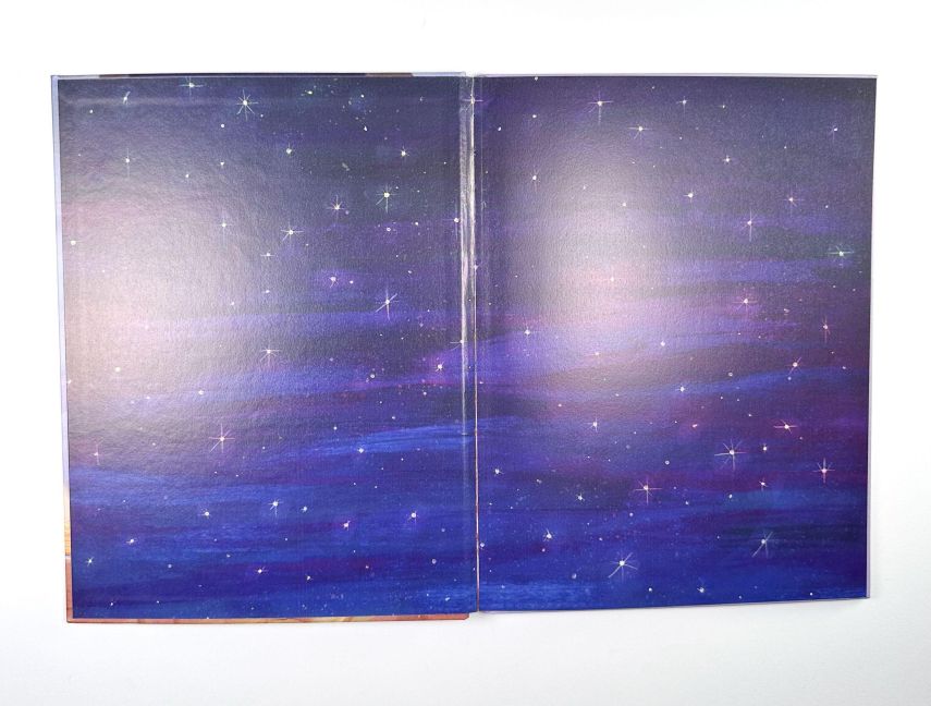 InsideView 13