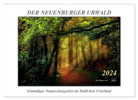 Der Neuenburger Urwald (Wandkalender 2024 DIN A2 quer), CALVENDO Monatskalender - Peter Roder