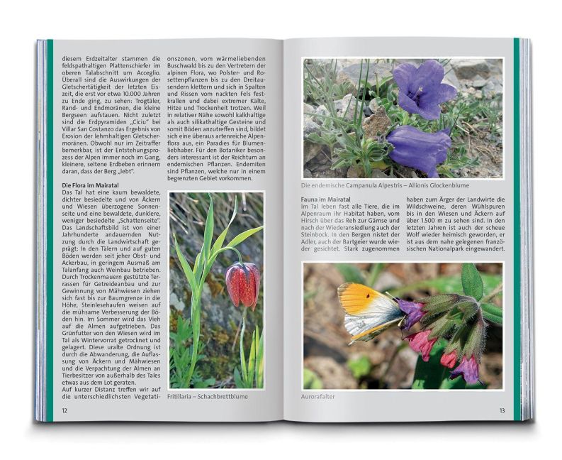 InsideView 6