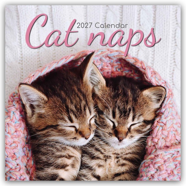 Cat Naps - Träumende Katzen 2027 - 16-Monatskalender - Gifted Stationery Co. Ltd