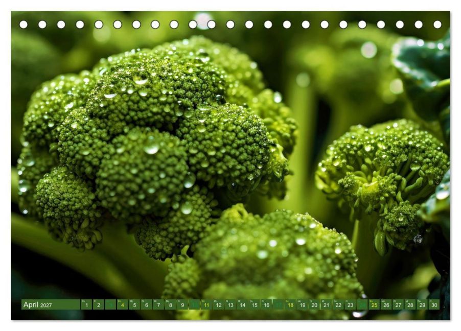 InsideView 9