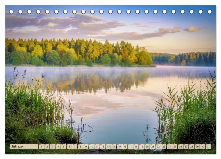 InsideView 12