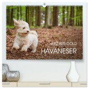 Havaneser - Herz aus Gold (hochwertiger Premium Wandkalender 2026 DIN A2 quer), Kunstdruck in Hochglanz - Peter Mayer