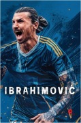 Cover-Bild zum Titel 'Zlatan Ibrahimovi' von 'Can Eren'