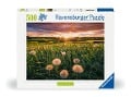 Cover-Bild zum Titel 'Erwachsenenpuzzle 500 Teile - Pusteblumen im Sonnenuntergang' von ''