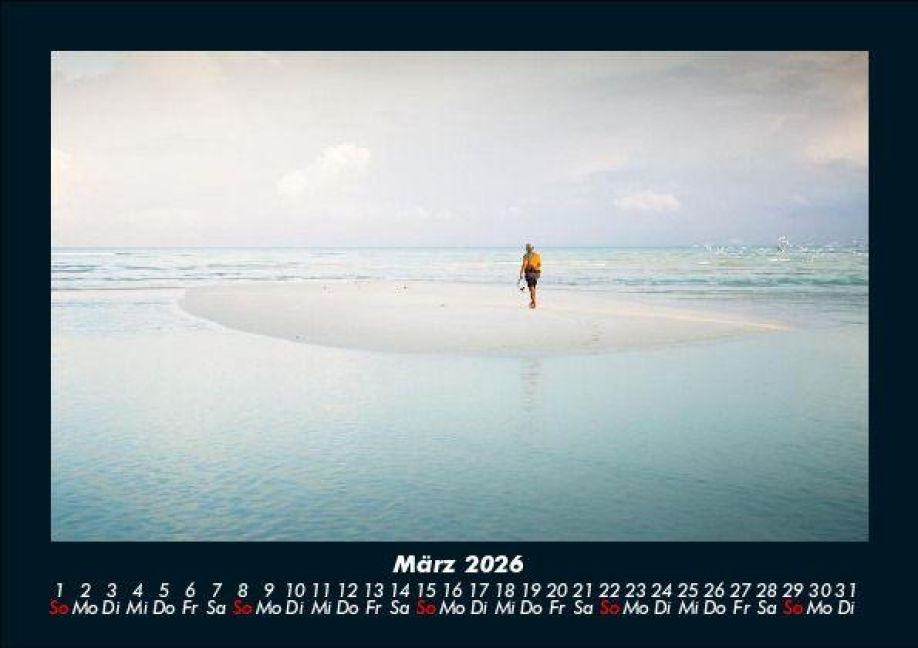 InsideView 7