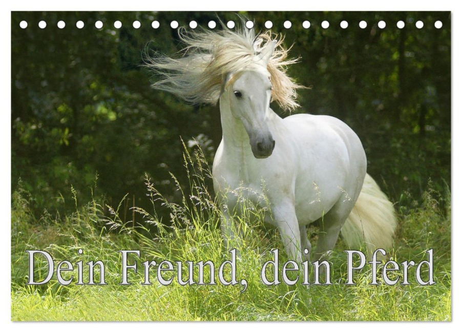 Dein Freund, dein Pferd (Tischkalender 2026 DIN A5 quer), CALVENDO Monatskalender - Erika Müller