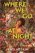 Cover-Bild zum Titel 'Where We Go at Night' von 'Ikwo Ntekim'