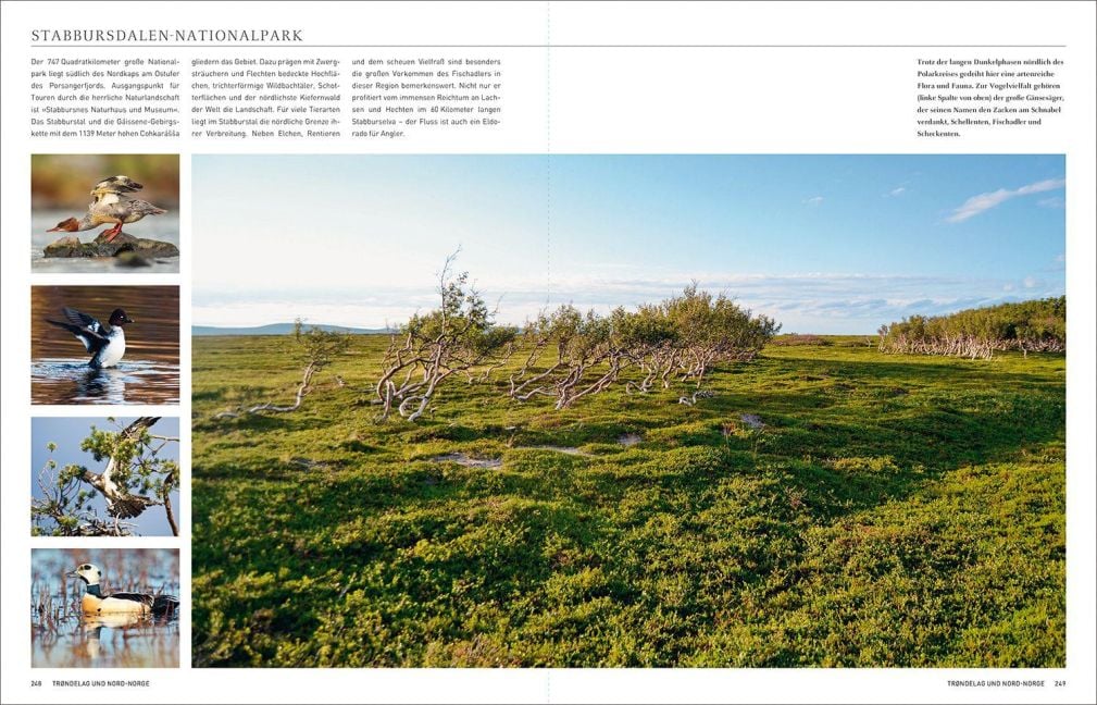 InsideView 13