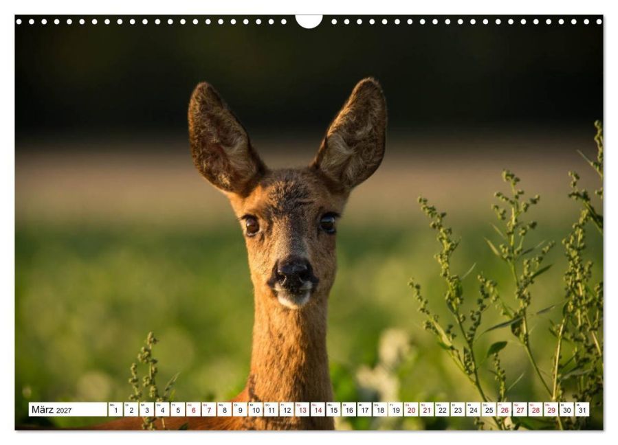 InsideView 8