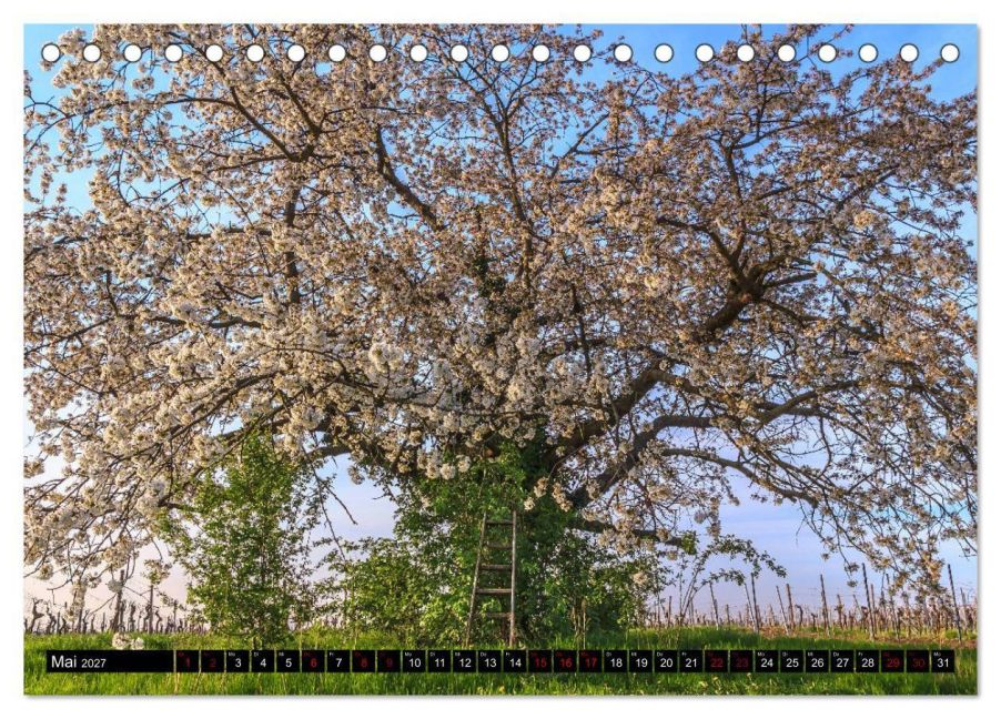InsideView 10