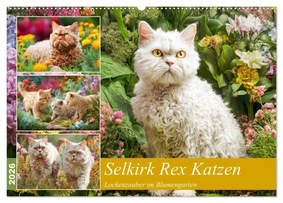 Selkirk Rex Katzen. Lockenzauber im Blumengarten (Wandkalender 2026 DIN A2 quer), CALVENDO Monatskalender - Rose Hurley