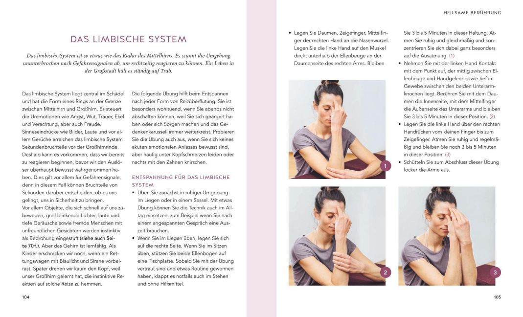 InsideView 5