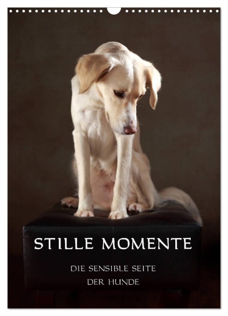 Stille Momente - Die sensible Seite der Hunde (Wandkalender 2026 DIN A3 hoch), CALVENDO Monatskalender - Jana Behr