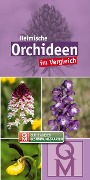 Heimische Orchideen im Vergleich - 10er-Set - 