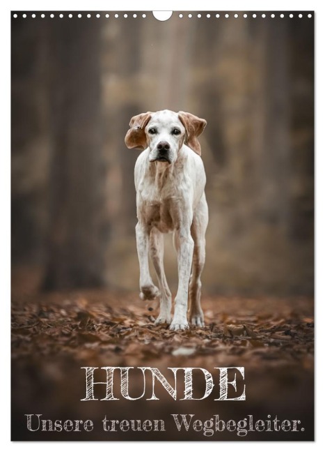 Hunde - Unsere treuen Wegbegleiter. (Wandkalender 2026 DIN A3 hoch), CALVENDO Monatskalender - Tierfotografie Andreas Kossmann