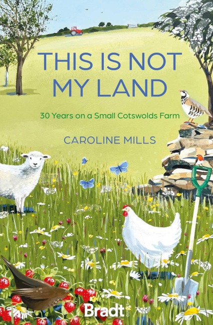 This Is Not My Land - Caroline Mills
