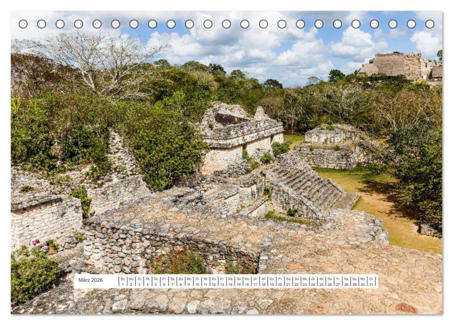 InsideView 8