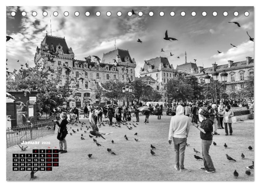 InsideView 6
