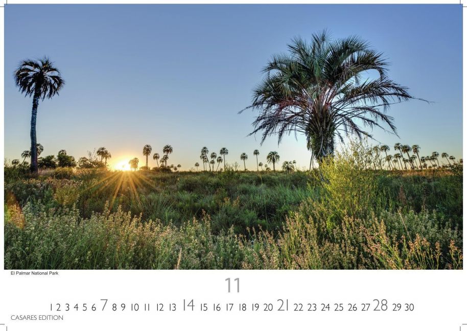 InsideView 11