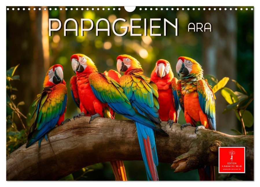 Papageien - Ara (Wandkalender 2026 DIN A3 quer), CALVENDO Monatskalender - Peter Roder
