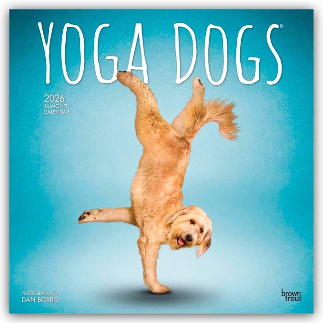 Yoga Dogs - Hunde Yoga 2026 - 16-Monatskalender - Browntrout Publishers