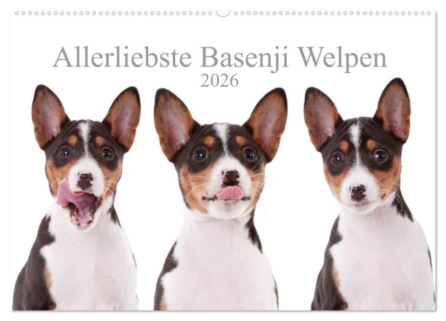 Allerliebste Basenji Welpen 2026 (Wandkalender 2026 DIN A2 quer), CALVENDO Monatskalender - Angelika Joswig