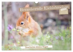 Cover-Bild zum Titel 'Bezaubernde Eichhörnchen (Wandkalender 2026 DIN A3 quer), CALVENDO Monatskalender' von 'Andreas Bininda'
