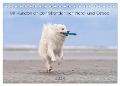 Mit Hunden an den Stränden von Nord- und Ostsee (Tischkalender 2024 DIN A5 quer), CALVENDO Monatskalender - Monika Scheurer