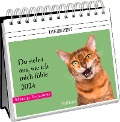 Du siehst aus, wie ich mich fühle 2024 - 