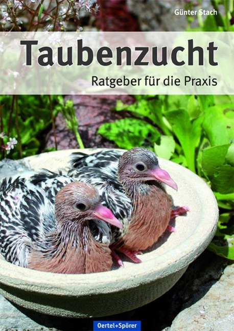 Taubenzucht - Günter Stach