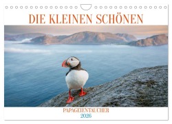Cover-Bild zum Titel 'Die kleinen schönen (Wandkalender 2026 DIN A4 quer), CALVENDO Monatskalender' von 'Dieter Gödecke'